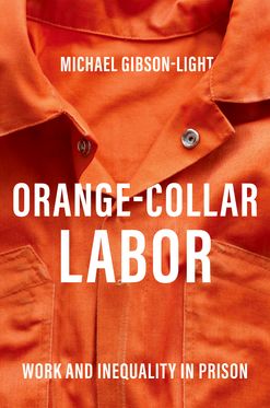 Orange-Collar Labor Work and Inequality in Prison, Hardback