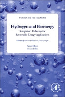 Hydrogen and Bioenergy: Integration pathways for renewable energy applications
