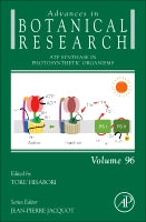 ATP Synthase in Photosynthetic Organisms