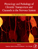 Physiology and Pathology of chloride transporters and channels  in the nervous system