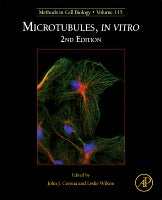 Microtubules, in vitro 2E, 2e