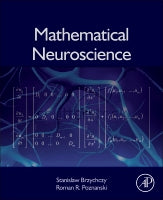 Mathematical  Neuroscience