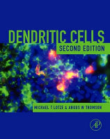 Dendritic Cells
