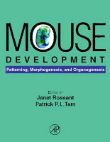 Mouse Development