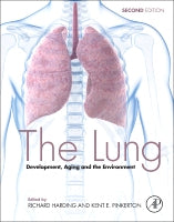 The Lung 2E