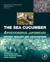 Sea Cucumbers