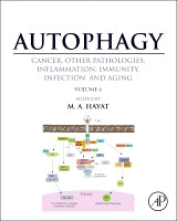Autophagy: Cancer, Other Pathologies, Inflammation, Immunity,   Infection, and Aging