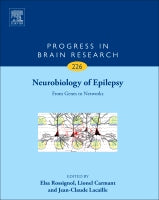Neurobiology of Epilepsy: From Genes to Networks