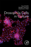 Drosophila Cells in Culture 2E