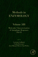 Molecular Characterization of Autophagic Responses Part B
