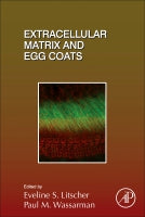 Extracellular Matrix in Development