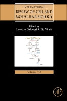 MiRNAs in Differentiation and Development