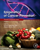 Epigenetics of Chemoprevention