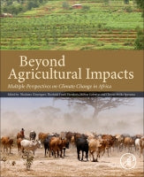 Beyond Agricultural Impacts: Multiple perspectives on the climate change in Africa