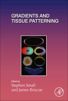 Morphogenetic Gradients and Development