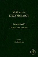 Radical SAM enzymes