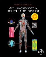 Mechanobiology in health and disease