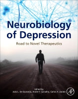 Neurobiology of Depression: Road to Novel Therapeutics