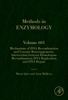 Mechanisms of DNA Recombination and Genome Rearrangements: Intersection Between Homologous Recombination, DNA Replicatio