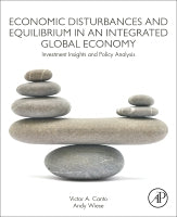 Economics, Investments, and Politics in a General Equilibrium Setting: A Global Economy Perspective