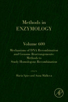 Mechanisms of DNA Recombination and Genome Rearrangements: Methods to Study Homologous Recombination