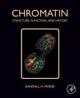Chromatin: Structure, Function, and History