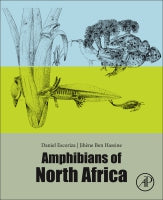 Amphibians of North West Africa