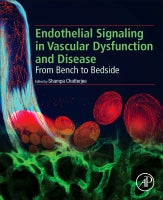 Endothelial Signalling in  Vascular Dysfunction and Disease: From bench to bedside