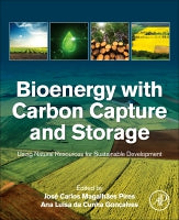 Bioenergy with Carbon Capture and Storage