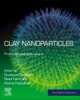 Clay Nanoparticles: Properties and Applications