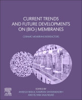 Current Trends and Future Developments on (Bio-) Membranes:  Ceramic Membrane Bioreactors