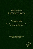 Metabolons and Supramolecular Enzyme Assemblies