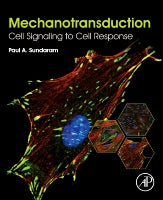 Mechanotransduction: Cell Signaling to Cell Response