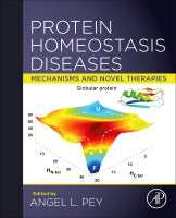 Protein Homeostasis Diseases: Mechanisms and Novel Therapies