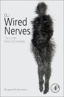 Peripheral Nervous System: Physiology, Injuries, Disorders, and Treatment
