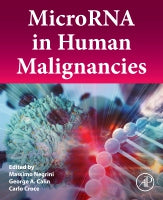 MicroRNA in human malignancies: Fundamental mechanisms and translational research