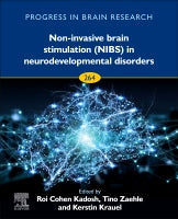 Non Invasive Brain Stimulation in Therapies
