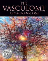 The Vasculome: From Many, One