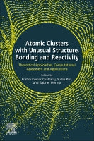 Atomic Clusters with Unusual Structure, Bonding and Reactivity: Theoretical Approaches, Computational Assessment and App