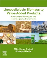 Lignocellulosic Biomass to Value-Added Products: Fundamental Strategies and Technological Advancements