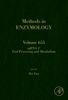 mRNA 3'End Processing and Metabolism