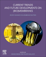 Current Trends and Future Developments on (Bio-) Membranes: Recent advances on Membrane Reactors