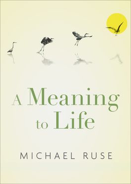 Meaning to Life, A