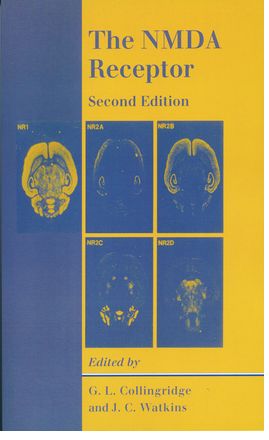 NMDA Receptor, The