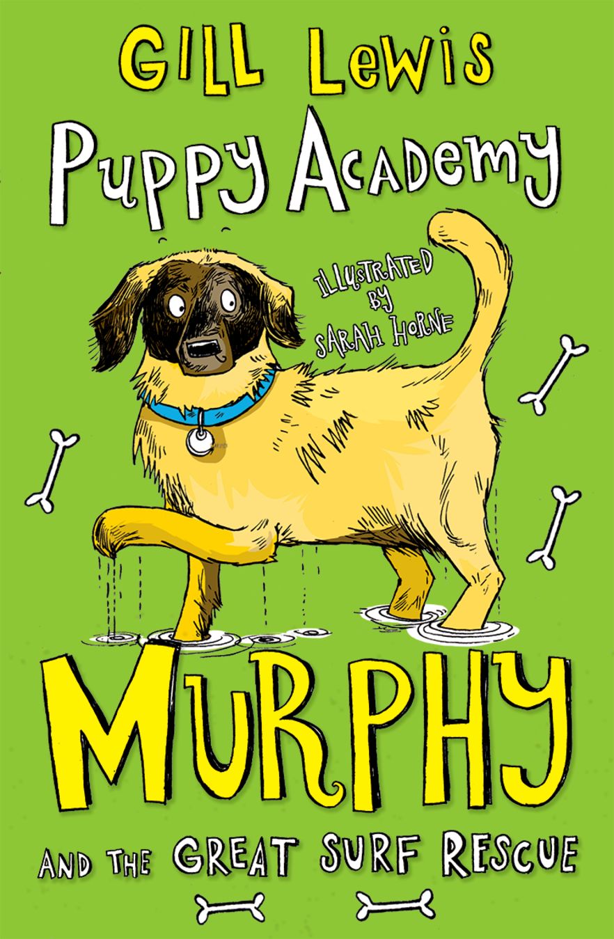 Puppy Academy: Murphy and the Great Surf Rescue