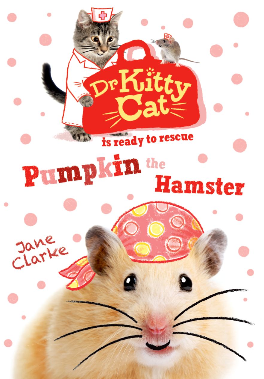 Dr KittyCat is Ready to Rescue: Pumpkin the Hamster