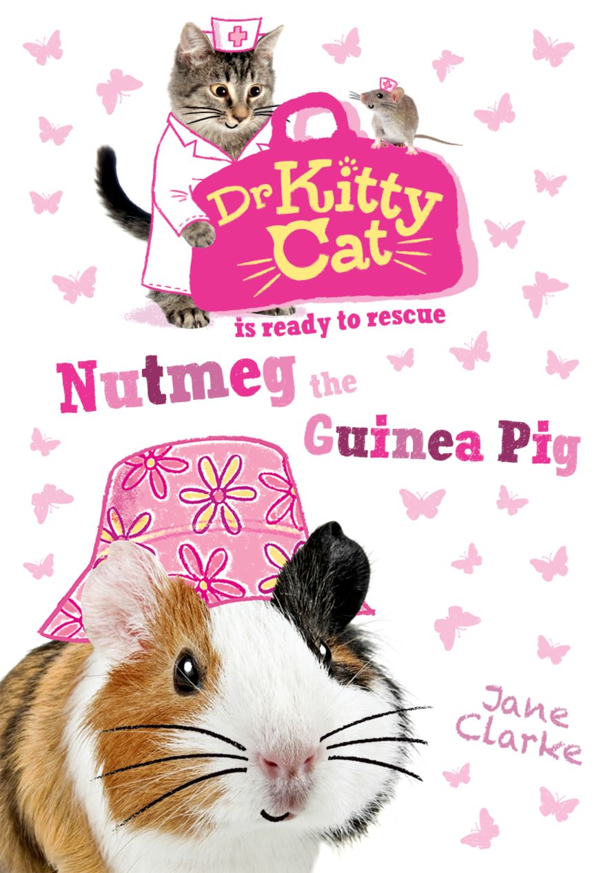 Dr KittyCat is Ready to Rescue Nutmeg the Guinea Pig