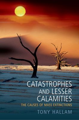 Catastrophes and Lesser Calamities