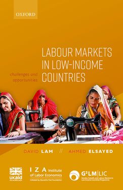 Labour Markets in Low-Income Countries Challenges and Opportunities