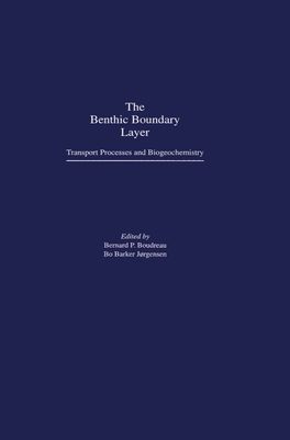 Benthic Boundary Layer, The
